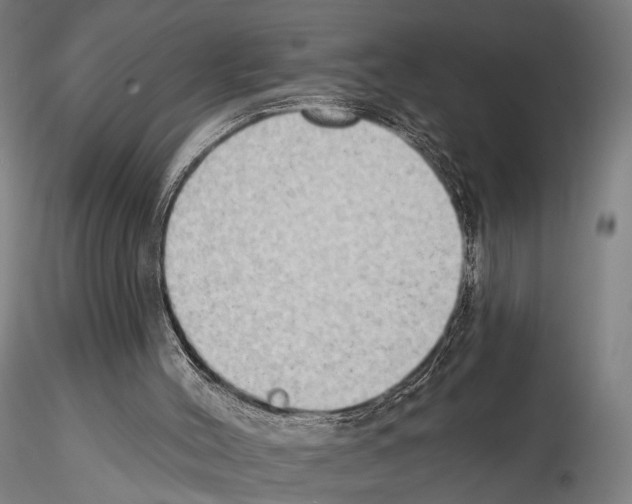 X0000114630004200912011036