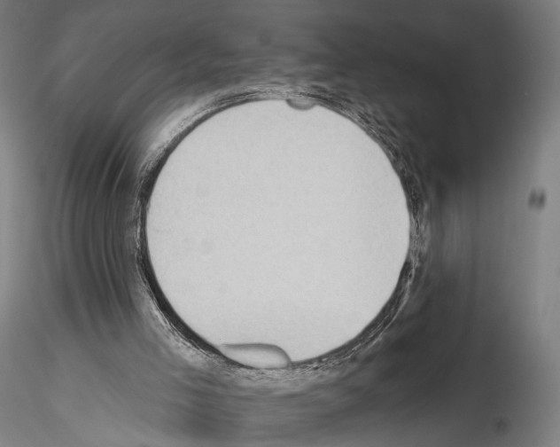 X0000114630005200912011036