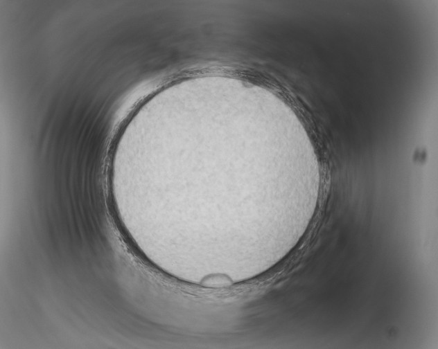 X0000114630006200912011036