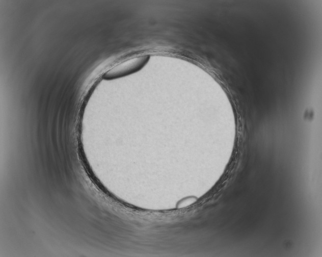 X0000114630007200912011036