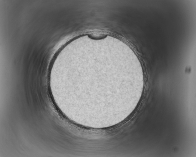 X0000114630008200912011036