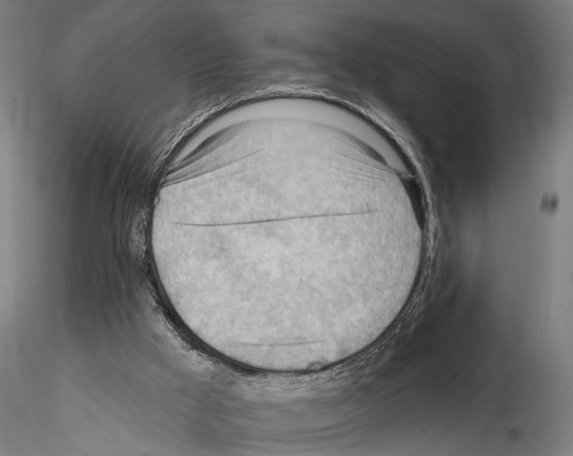 X0000114630009200912011036