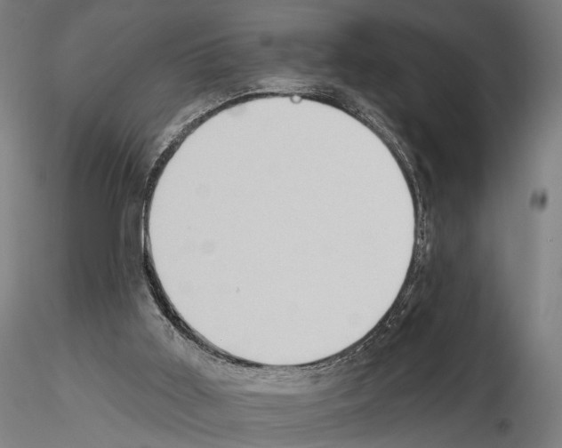 X0000114630011200912011036