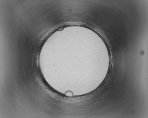 X0000114630013200912011036