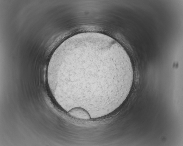 X0000114630014200912011036