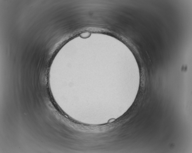 X0000114630015200912011036