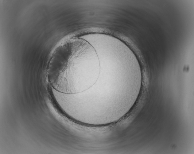 X0000114630016200912011036