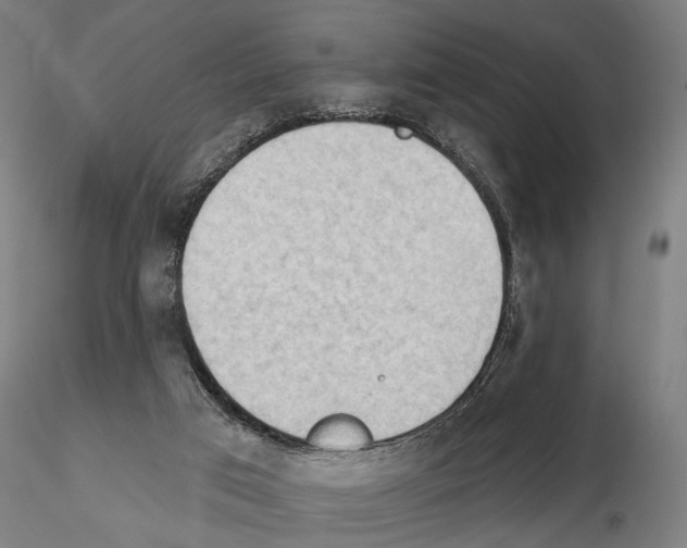 X0000114630017200912011036