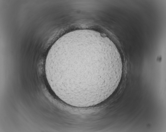 X0000114630018200912011036