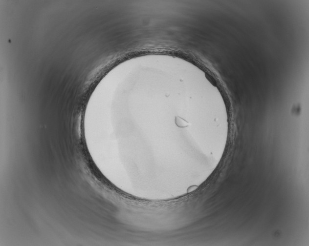 X0000114630019200912011036