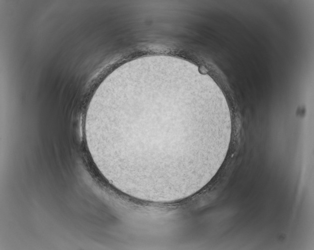 X0000114630020200912011036