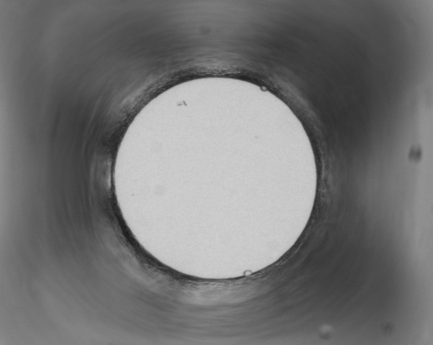 X0000114630021200912011036