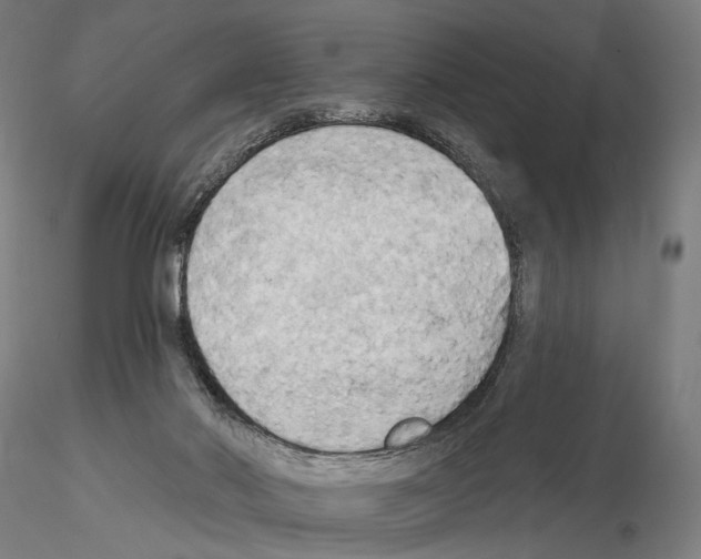 X0000114630022200912011036