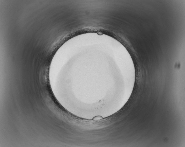 X0000114630023200912011036