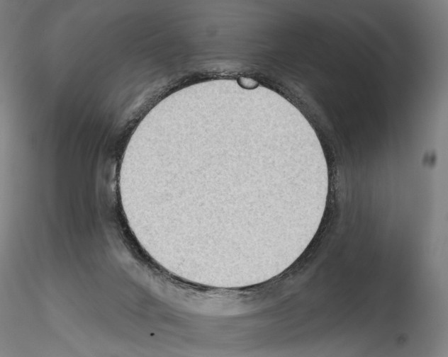 X0000114630024200912011036