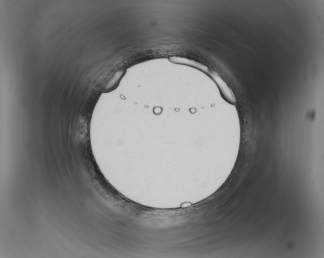 X0000114630025200912011036