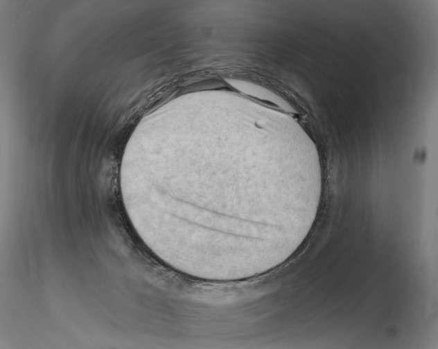 X0000114630029200912011036