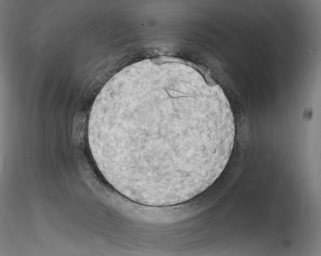 X0000114630030200912011036