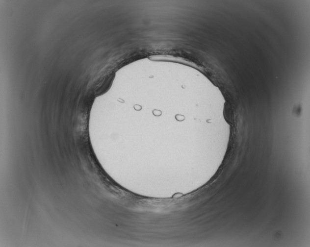 X0000114630033200912011036