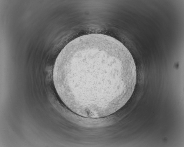 X0000114630034200912011036