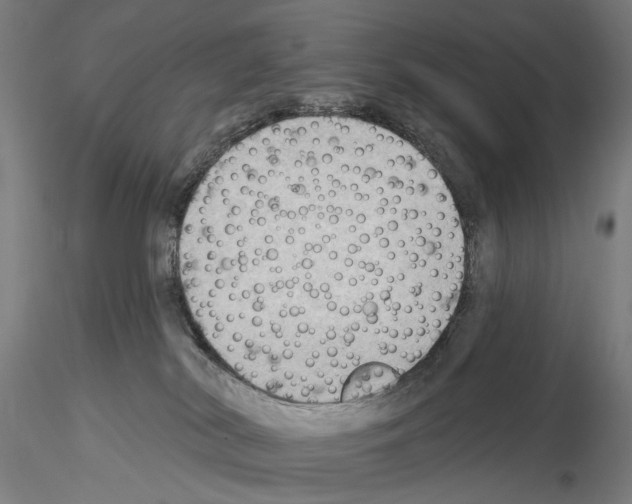 X0000114630038200912011036