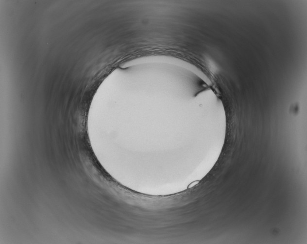 X0000114630039200912011036