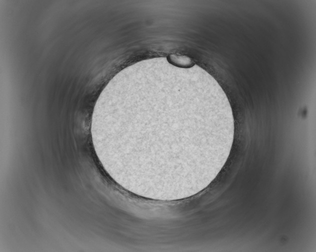 X0000114630040200912011036