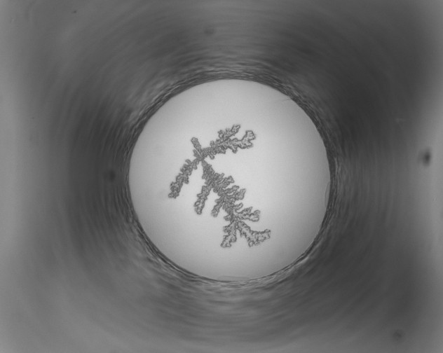 X0000114630041200912011036