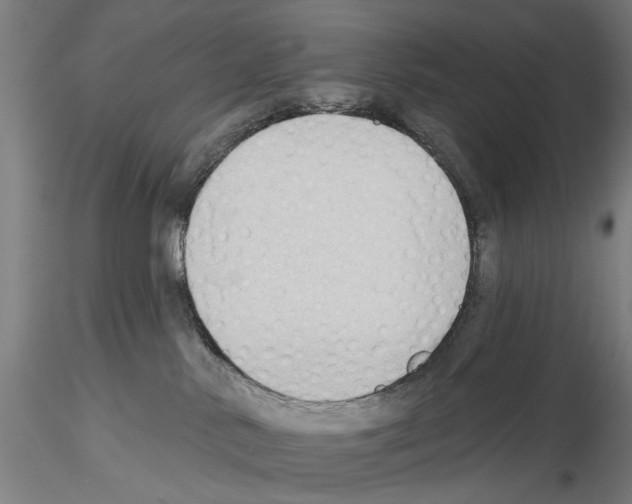 X0000114630042200912011036