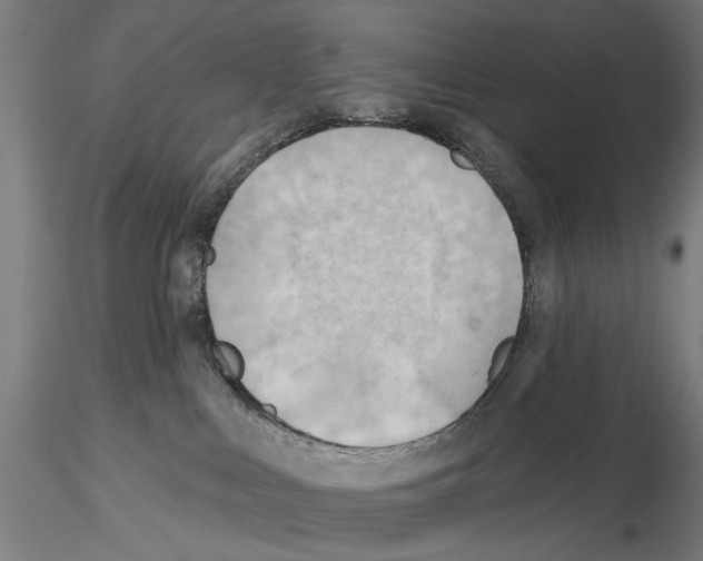 X0000114630043200912011036