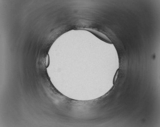 X0000114630045200912011036