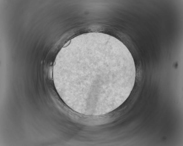 X0000114630046200912011036