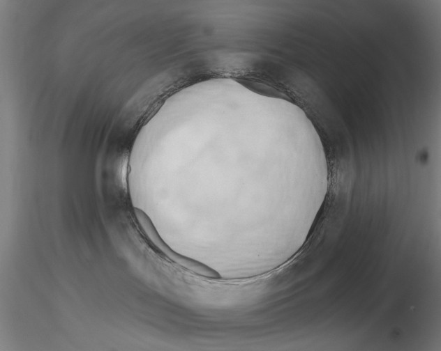 X0000114630047200912011036