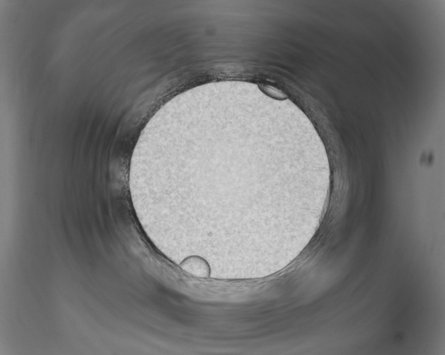 X0000114630048200912011036