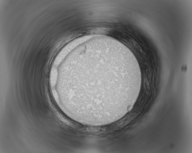 X0000114630049200912011035