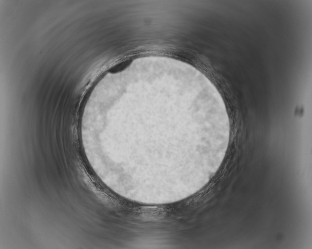 X0000114630050200912011035