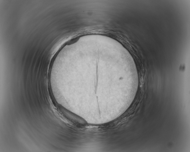 X0000114630052200912011035