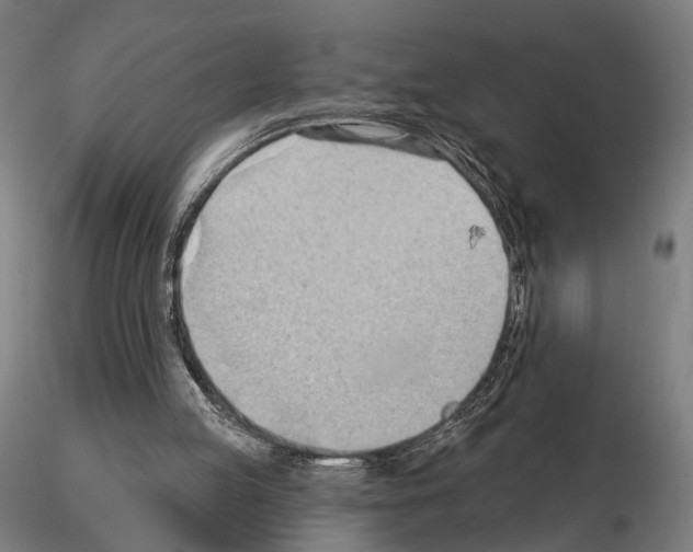 X0000114630053200912011035