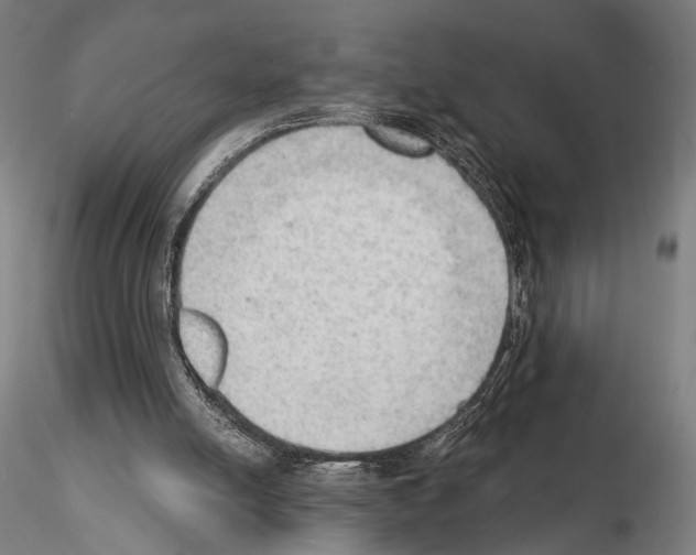 X0000114630054200912011035