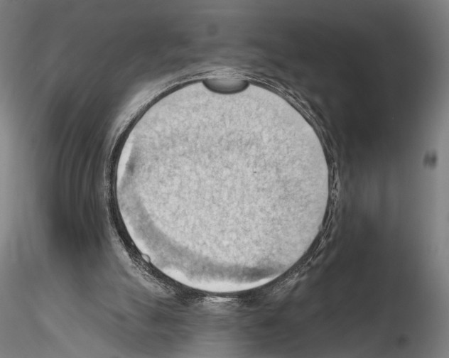 X0000114630055200912011035