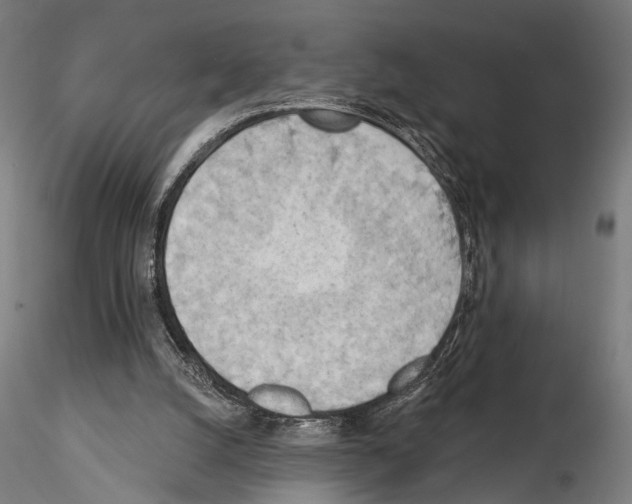 X0000114630056200912011035