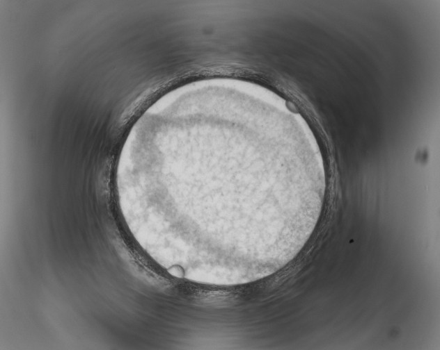 X0000114630058200912011035