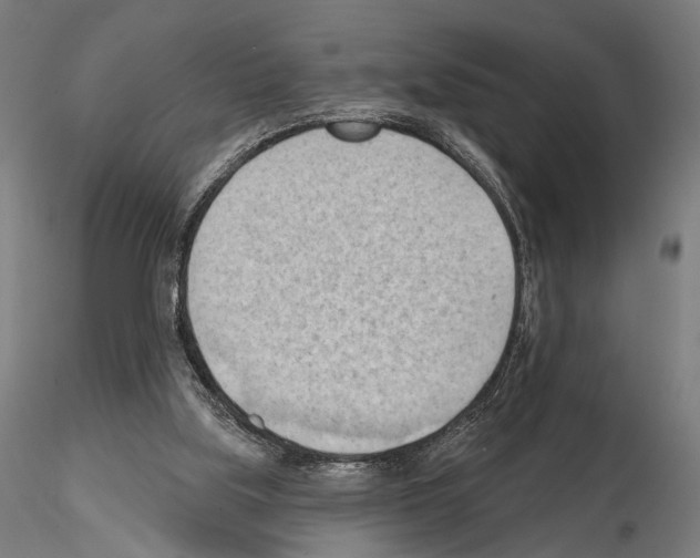 X0000114630059200912011035