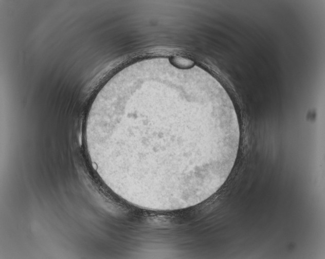 X0000114630062200912011035