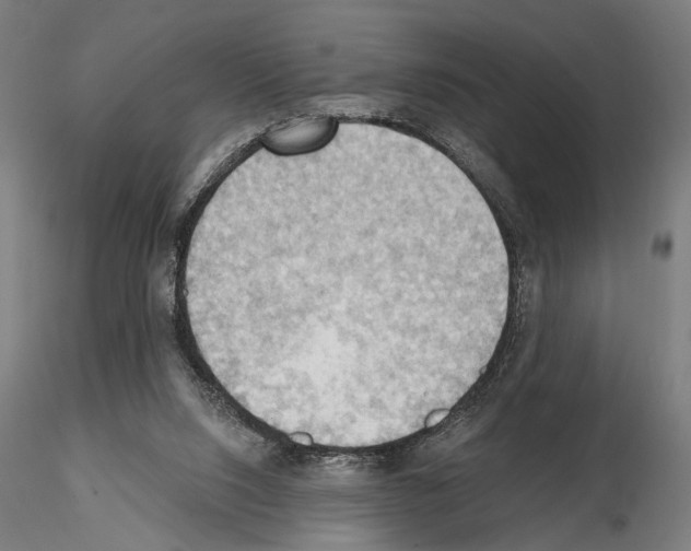 X0000114630064200912011035