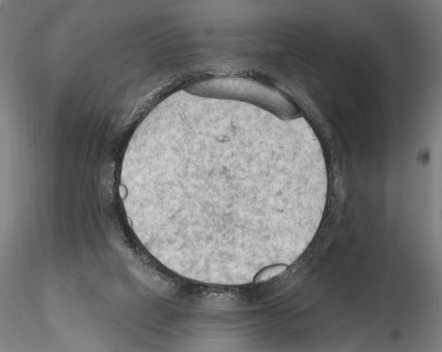 X0000114630066200912011035