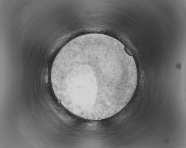 X0000114630068200912011035