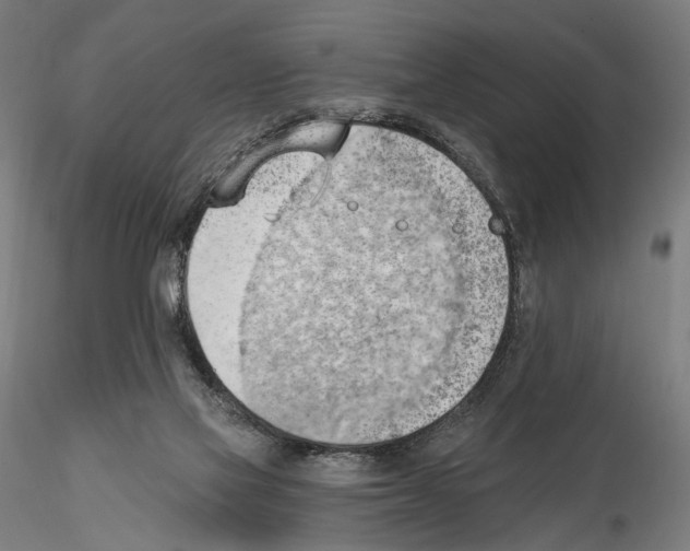 X0000114630069200912011035