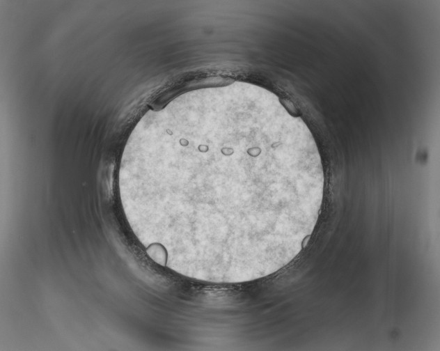 X0000114630070200912011035