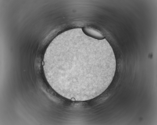 X0000114630072200912011035